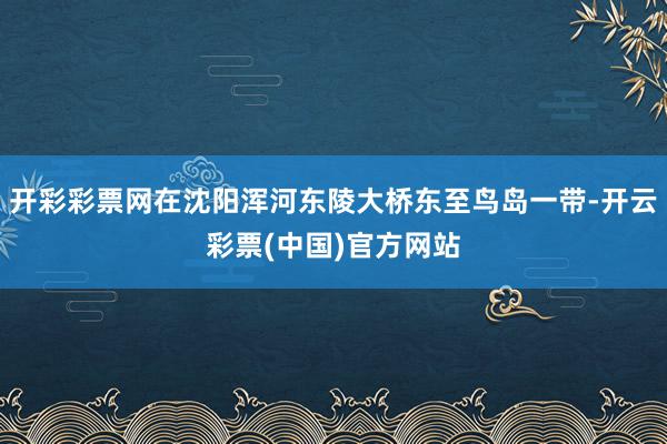 开彩彩票网在沈阳浑河东陵大桥东至鸟岛一带-开云彩票(中国)官方网站